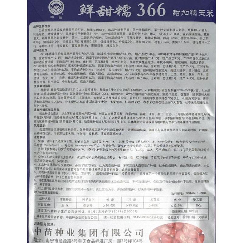 中苗鲜甜糯366白甜糯玉米种子绿皮大棒甜加糯粘糯玉米种