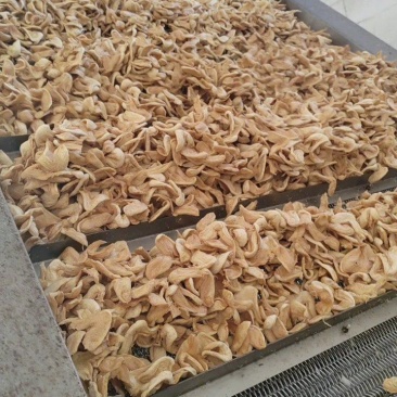 豆制品素鸡翅