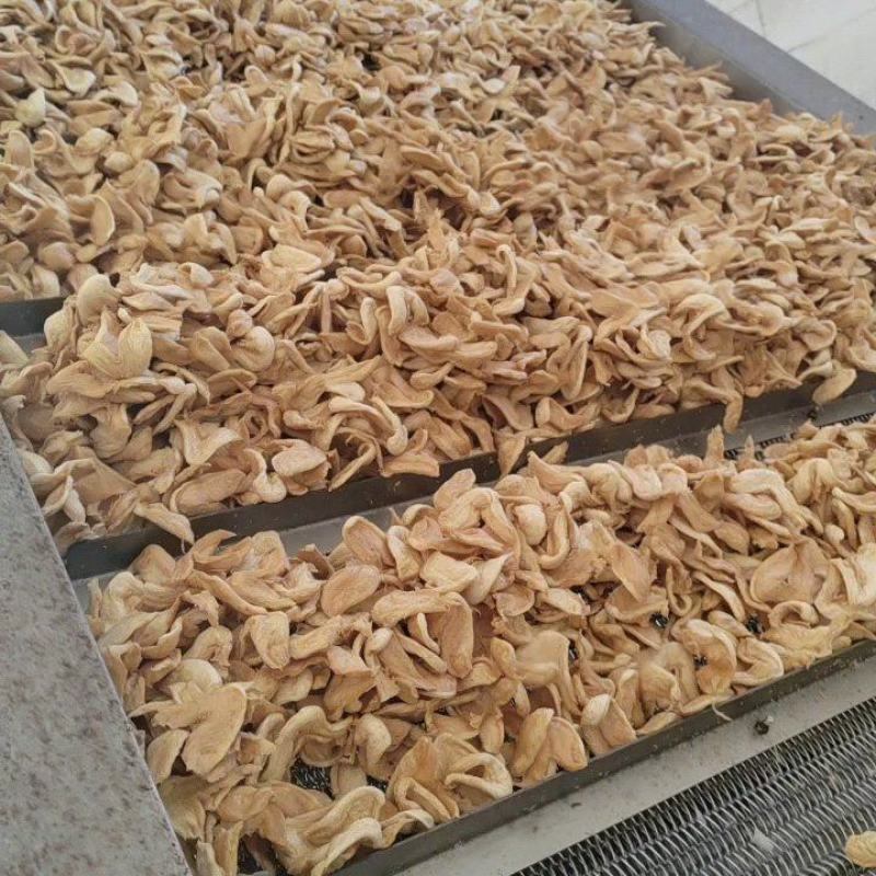 豆制品素鸡翅