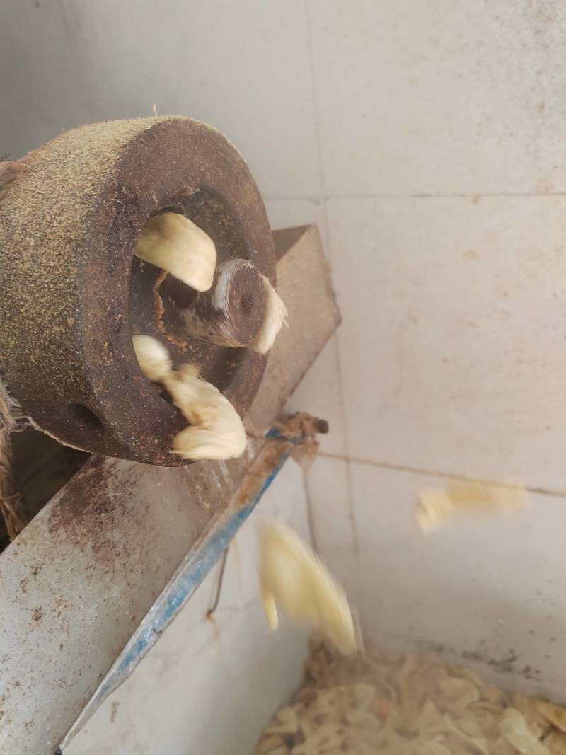 豆制品素鸡翅