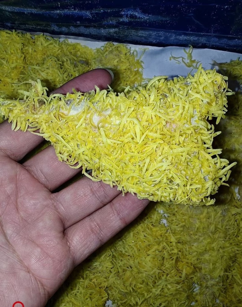 无骨蝴蝶鱼片红娘鱼排鱼肉油炸半成品酒店食材去骨去除