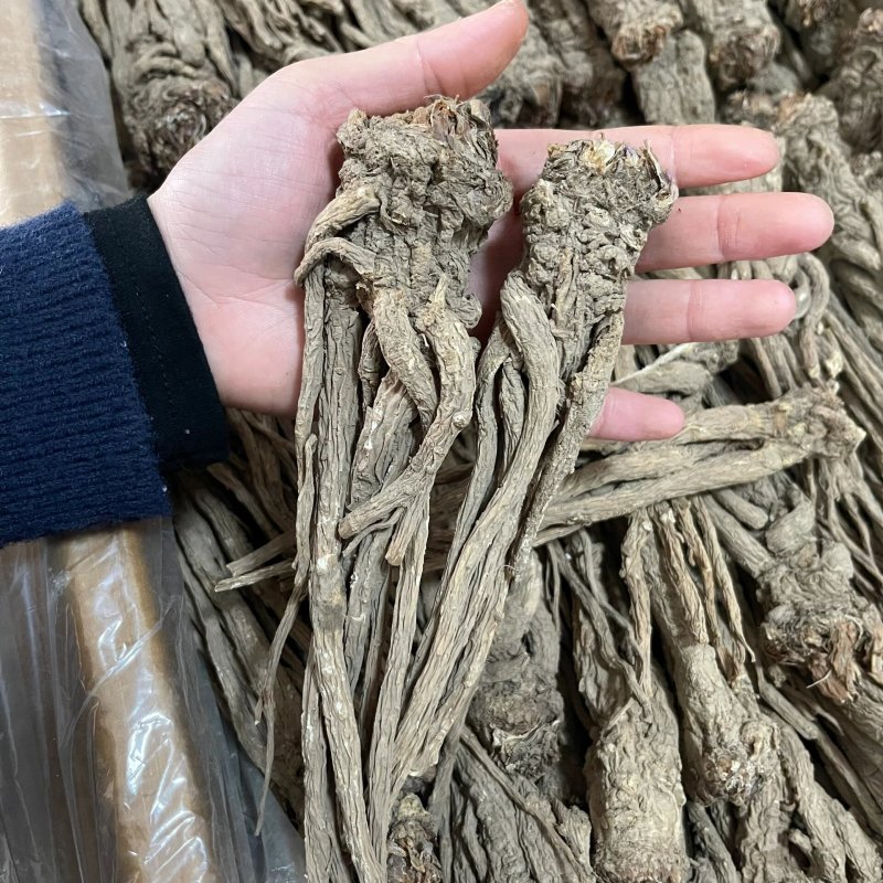 正宗甘肃无硫当归头原皮当归头当归片当归粉包邮