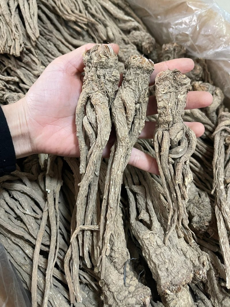 正宗甘肃无硫当归头原皮当归头当归片当归粉包邮