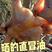 【咸鸡】农家散养咸鸡溧阳土特产咸鸡腊鸡风干鸡土鸡整只