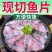 【腌制黑鱼片】【新品鱼片】免浆黑鱼片黑鱼片无骨免切免洗冷