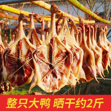 【咸鸭】安徽腊鸭子咸鸭风干腊鸭腿板鸭农家手工自制腊肉腊味
