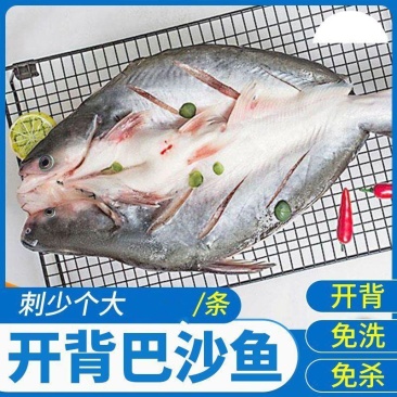 【腌制巴沙鱼】开背腌制湄公鱼烤鱼冷冻无刺巴沙鱼整条无刺龙