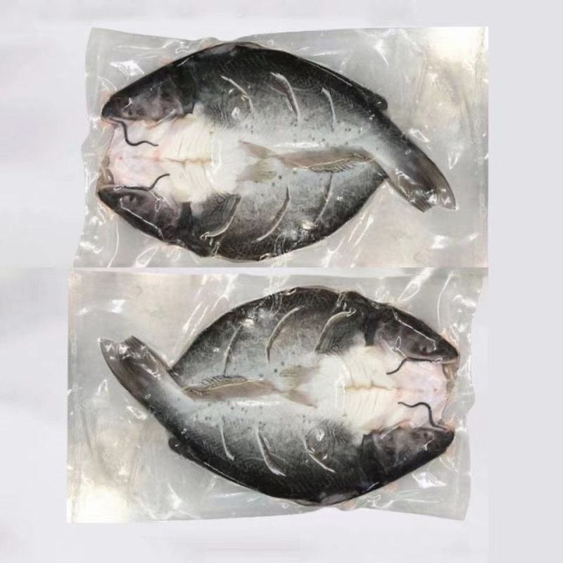 【调味清江鱼】清江鱼开背清江鱼烤鱼用活鱼现杀清江鱼青花