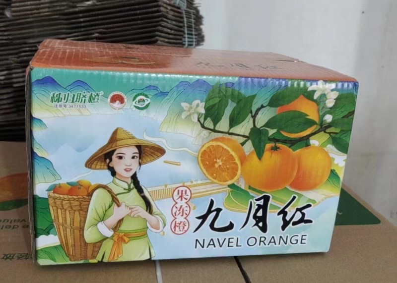 湖北秭归九月红脐橙化渣味甜九月红果冻橙果园看货现摘