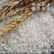 常年批发东北寒地珍珠米，物美价廉欢迎惠顾！