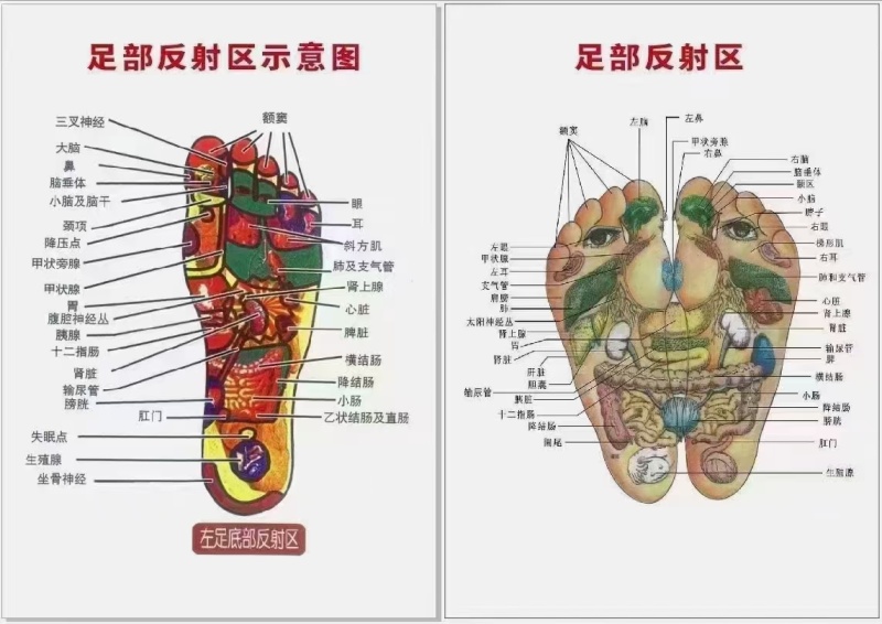 厂家批发零售艾永健健康养生鞋艾永健男女休闲鞋