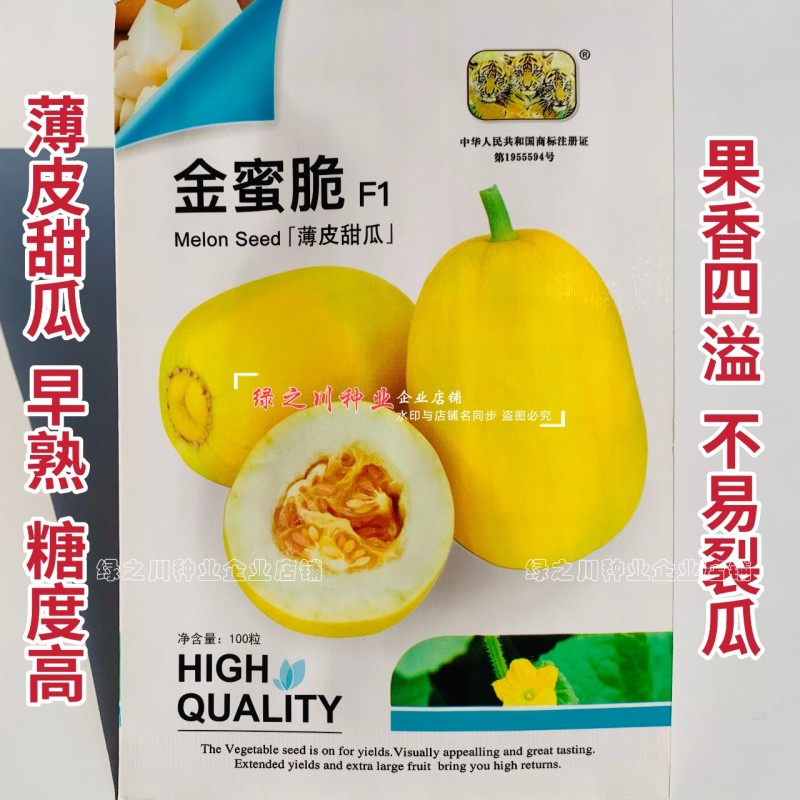 金蜜脆甜瓜种子金黄皮薄皮甜瓜种子果香四溢糖度高不易裂瓜
