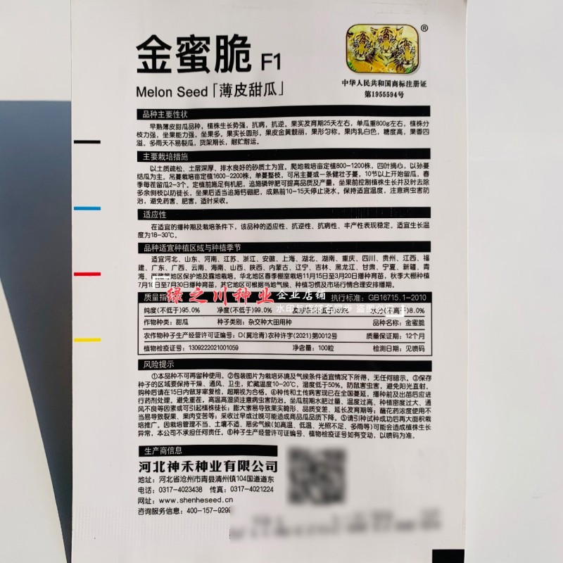 金蜜脆甜瓜种子金黄皮薄皮甜瓜种子果香四溢糖度高不易裂瓜