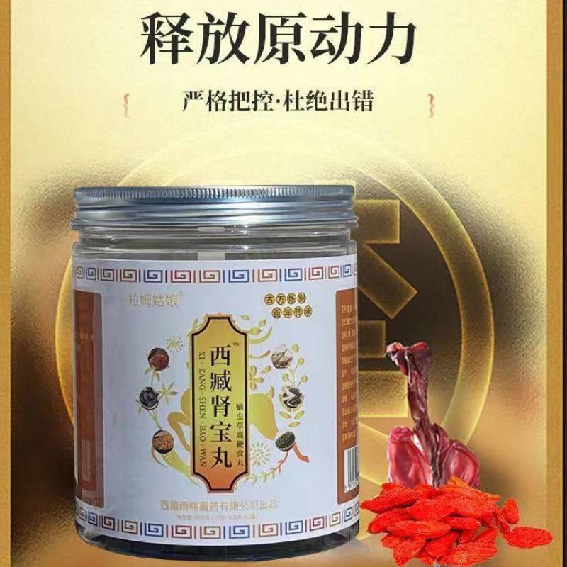 西臧肾宝丸