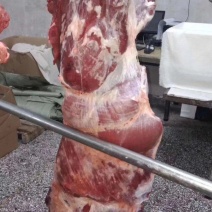 牛肉黄牛肉精修无油，纯干无水，货源充足，量大从优