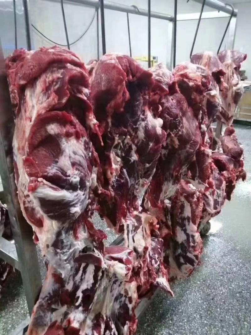 牛肉黄牛肉精修无油，纯干无水，货源充足，量大从优