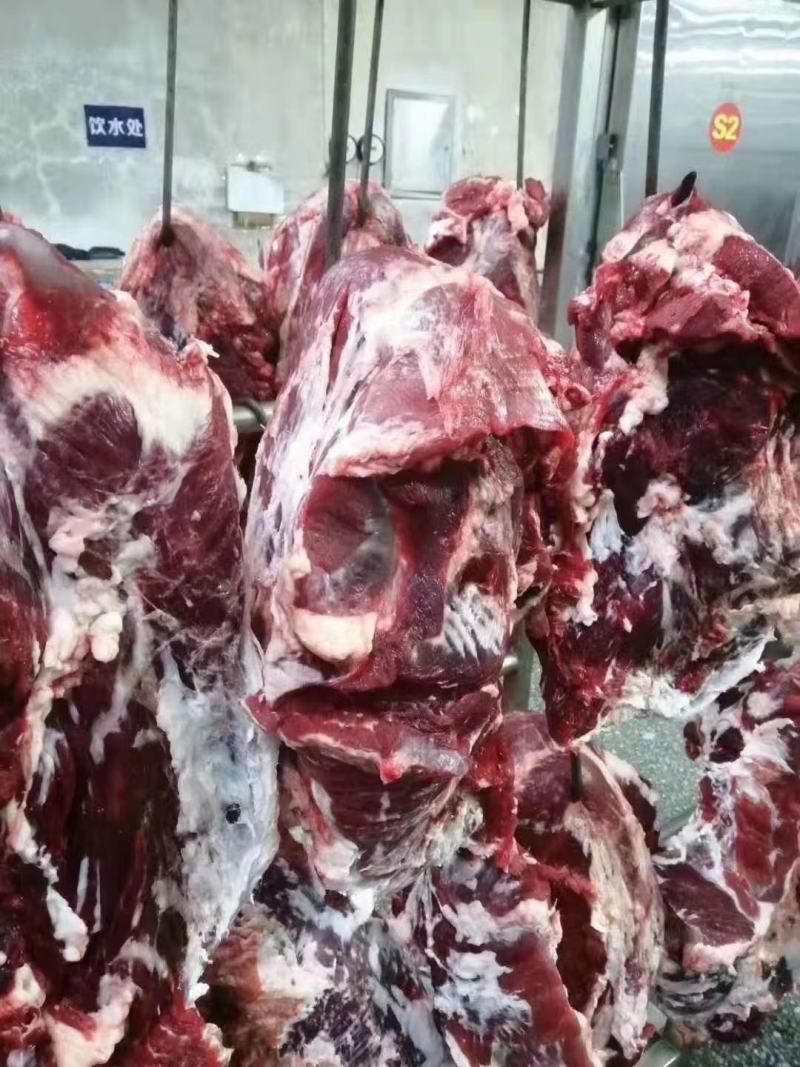 牛肉黄牛肉精修无油，纯干无水，货源充足，量大从优
