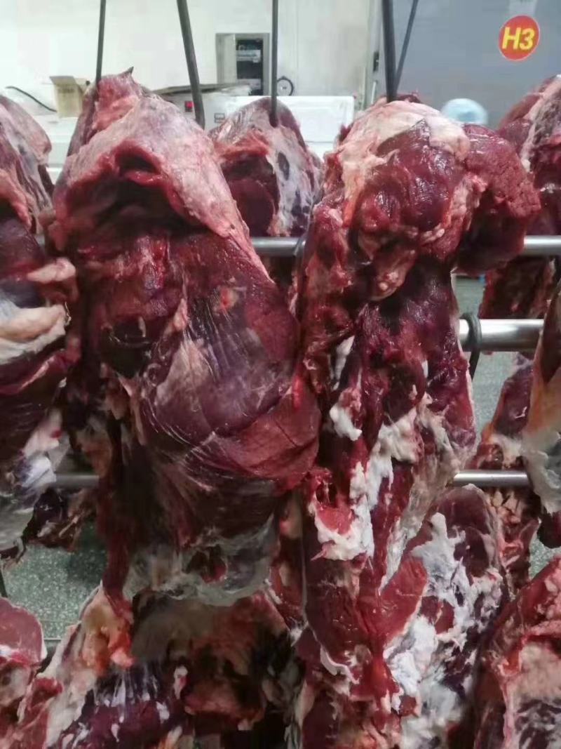牛肉黄牛肉精修无油，纯干无水，货源充足，量大从优