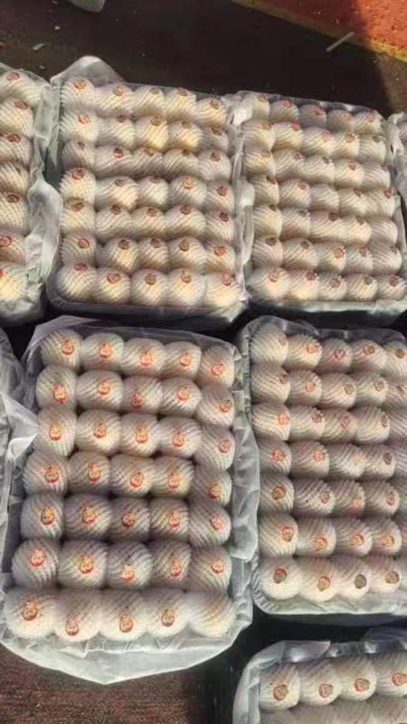 人参果