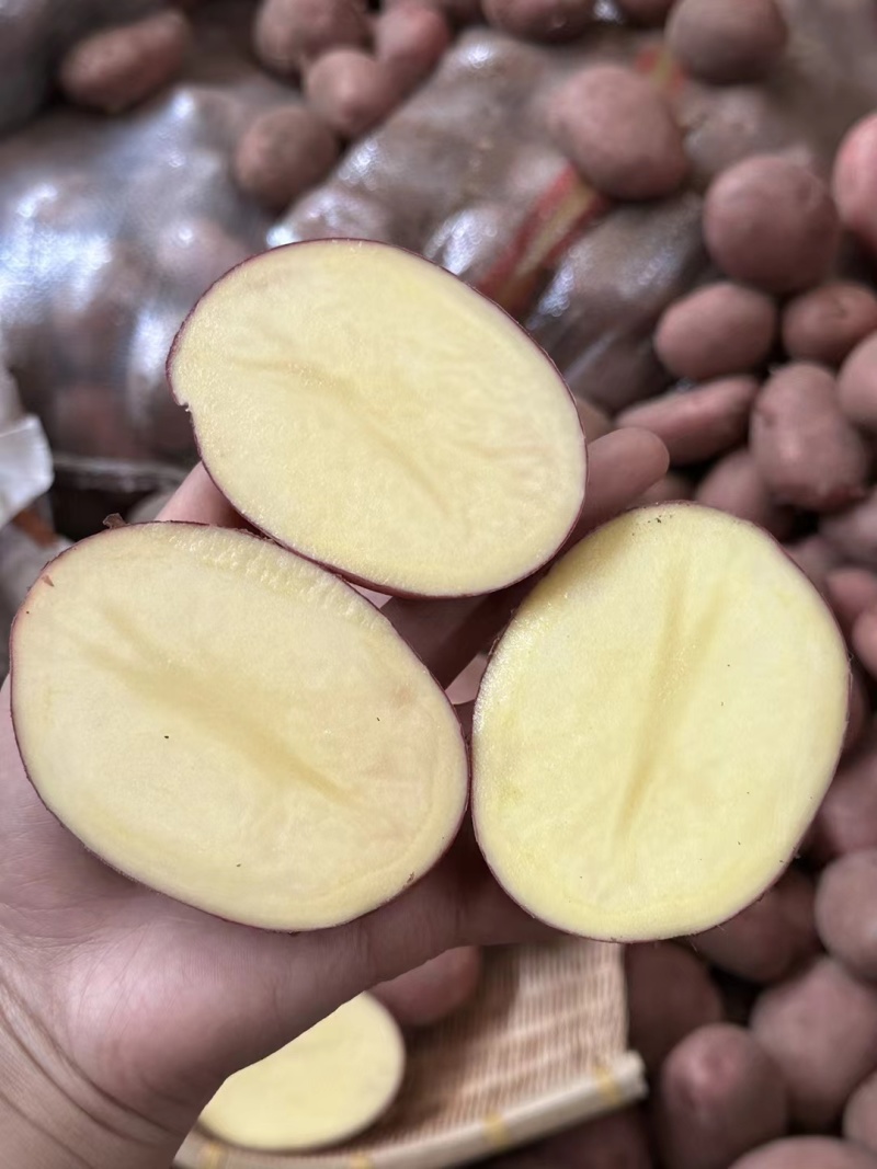 云南红皮黄心大小土豆电商货马铃薯洋芋一件代发批发团购