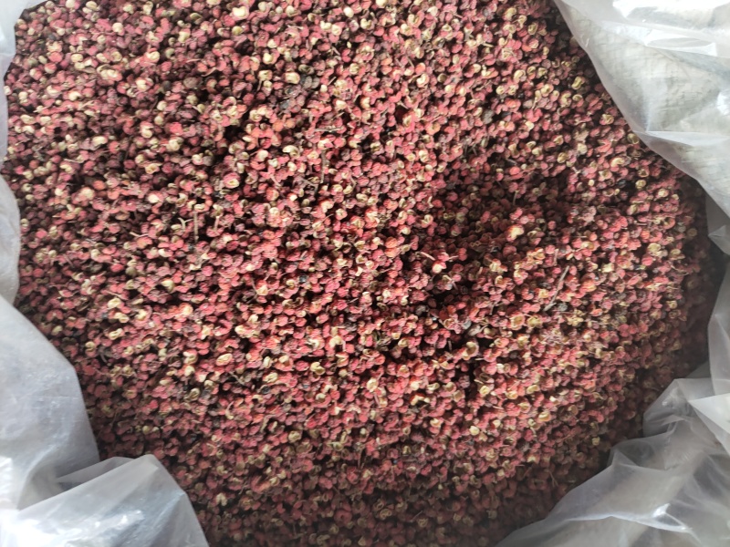陕西渭南花椒面货量充足量大充足场地直发欢迎客商咨询