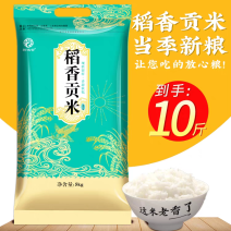 五常稻花香大米