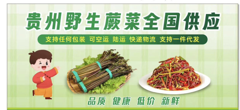 预售2025年贵州野生蕨菜，龙爪菜，供应国各地商超！