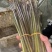 预售2025年贵州野生蕨菜，龙爪菜，供应国各地商超！