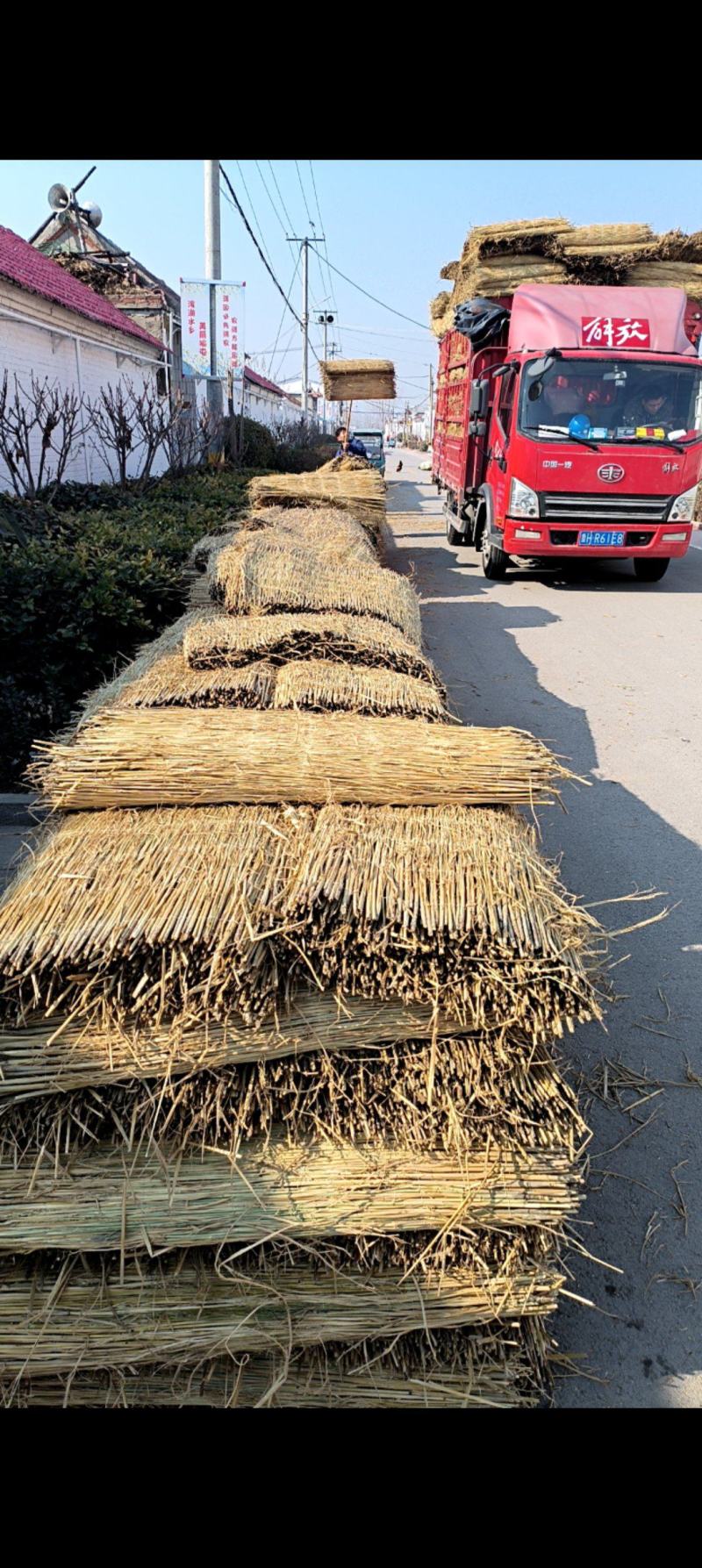 稻草苫草帘
