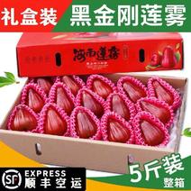【顺丰到家】海南精选黑金刚莲雾礼盒装热带新鲜水果多汁包邮