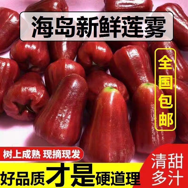 海南莲雾5斤新鲜水果热带莲雾果孕妇水果补水仙女果莲雾