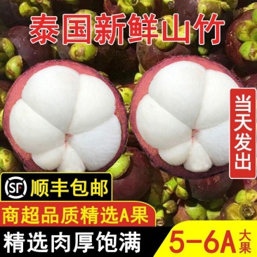 顺丰包邮新鲜山竹水果净重3/5/10斤大果当季油竹果