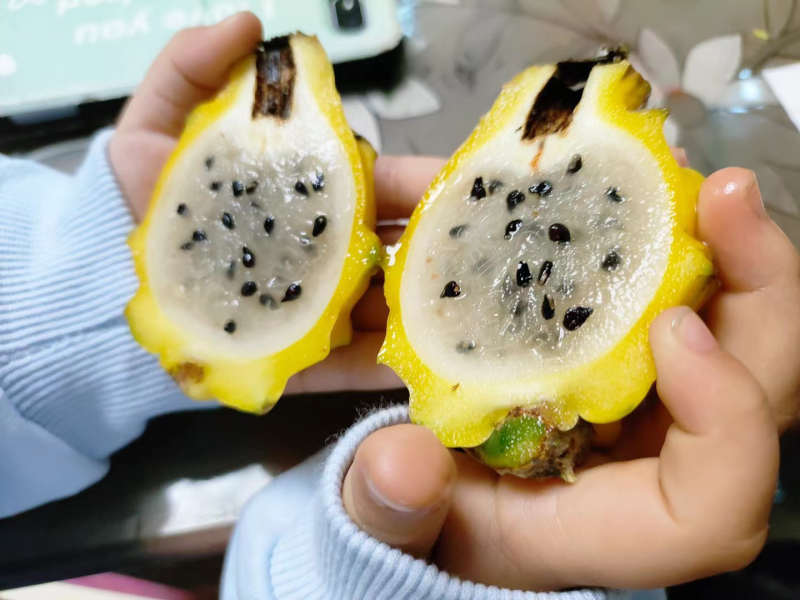 新鲜采摘海南燕窝果麒麟果超甜孕妇黄心火龙果