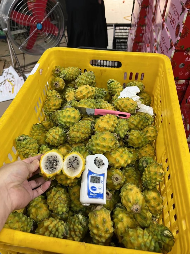 新鲜采摘海南燕窝果麒麟果超甜孕妇黄心火龙果