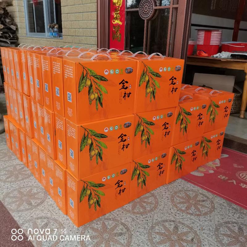 【好货】尤溪县管前金柑金桔按需包装大吨位供应市场商超批发