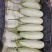 莘县博洋61甜瓜博洋甜瓜承接商超电商社团代收代发全国