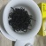 野生红茶、大树普洱茶毛料、300年左右古树普洱茶毛料！