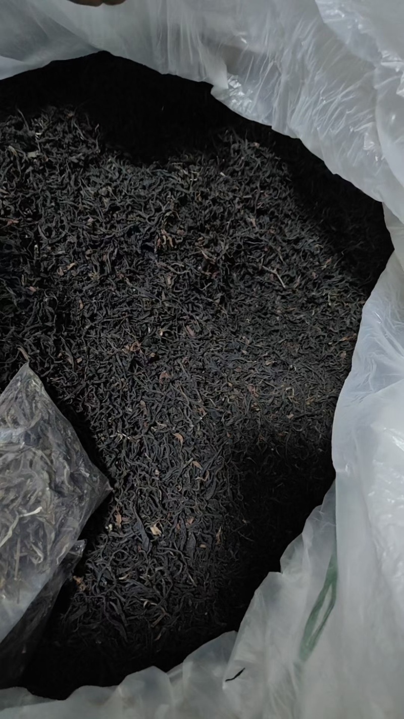 野生红茶、大树普洱茶毛料、300年左右古树普洱茶毛料！