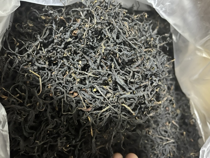 野生红茶、大树普洱茶毛料、300年左右古树普洱茶毛料！