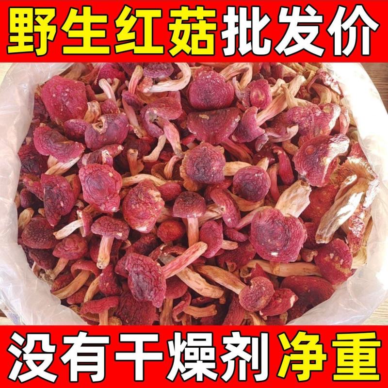 【精品】野生红菇，货量充足，产地直发，质量保证，欢迎选购