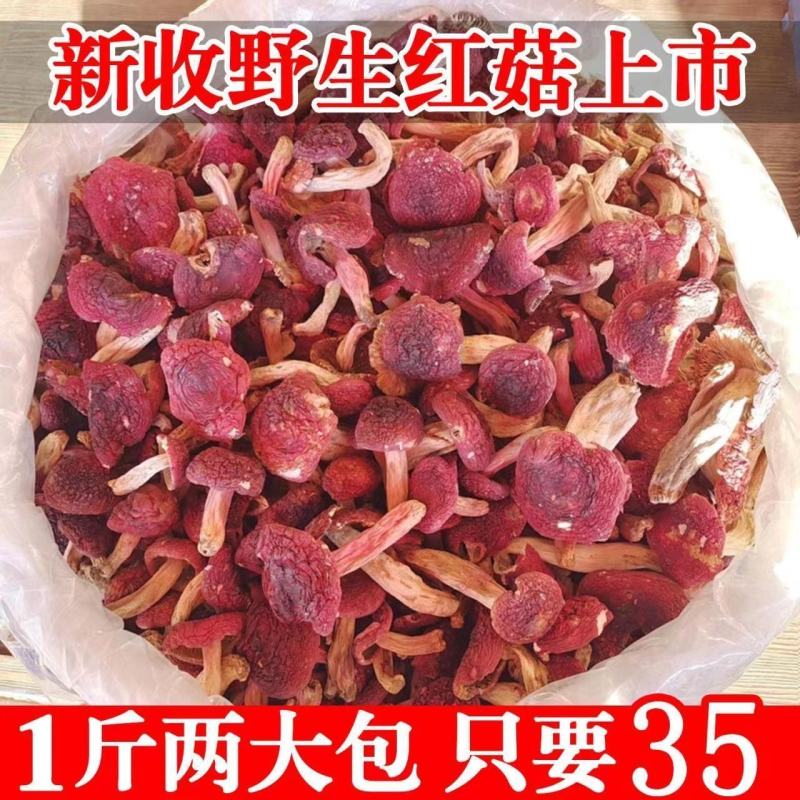 【精品】野生红菇，货量充足，产地直发，质量保证，欢迎选购