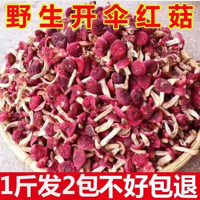 【精品】野生红菇，货量充足，产地直发，质量保证，欢迎选购