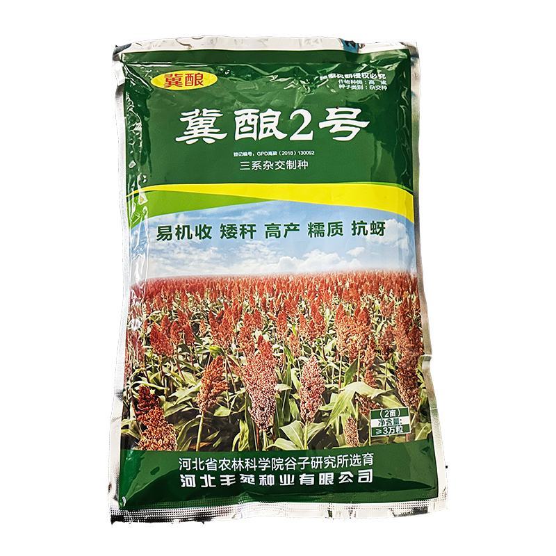 抗虫酿酒专用糯高粱冀酿2号，高粱价格高矮杆大穗产量高
