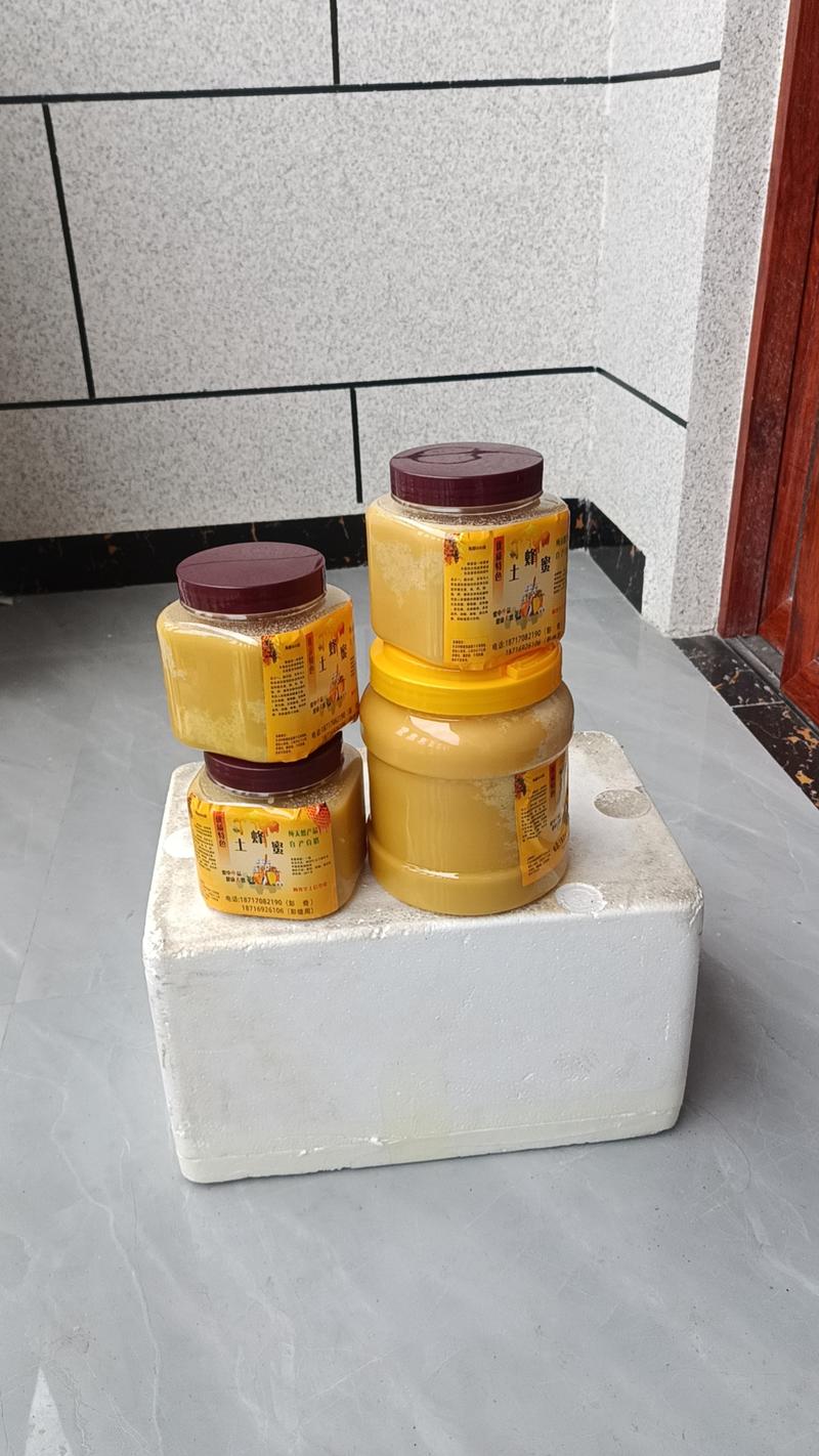 重庆散养大山土蜂蜜保质保量价格低发往全国视频看货