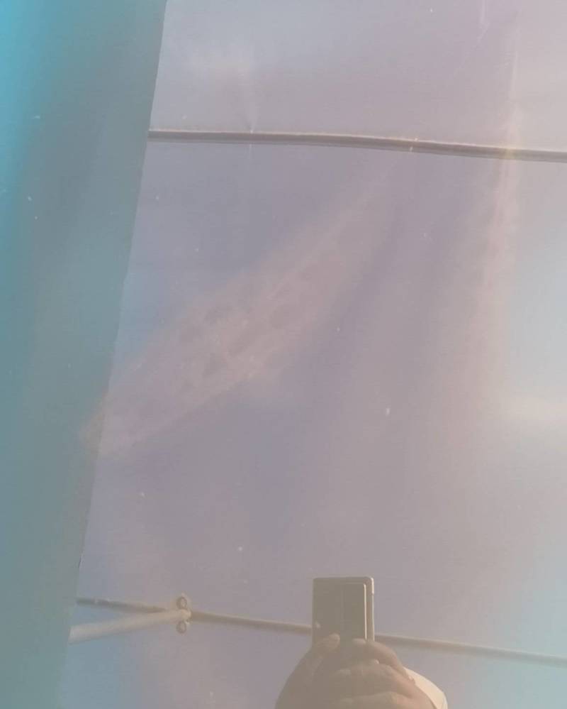 鲤鱼