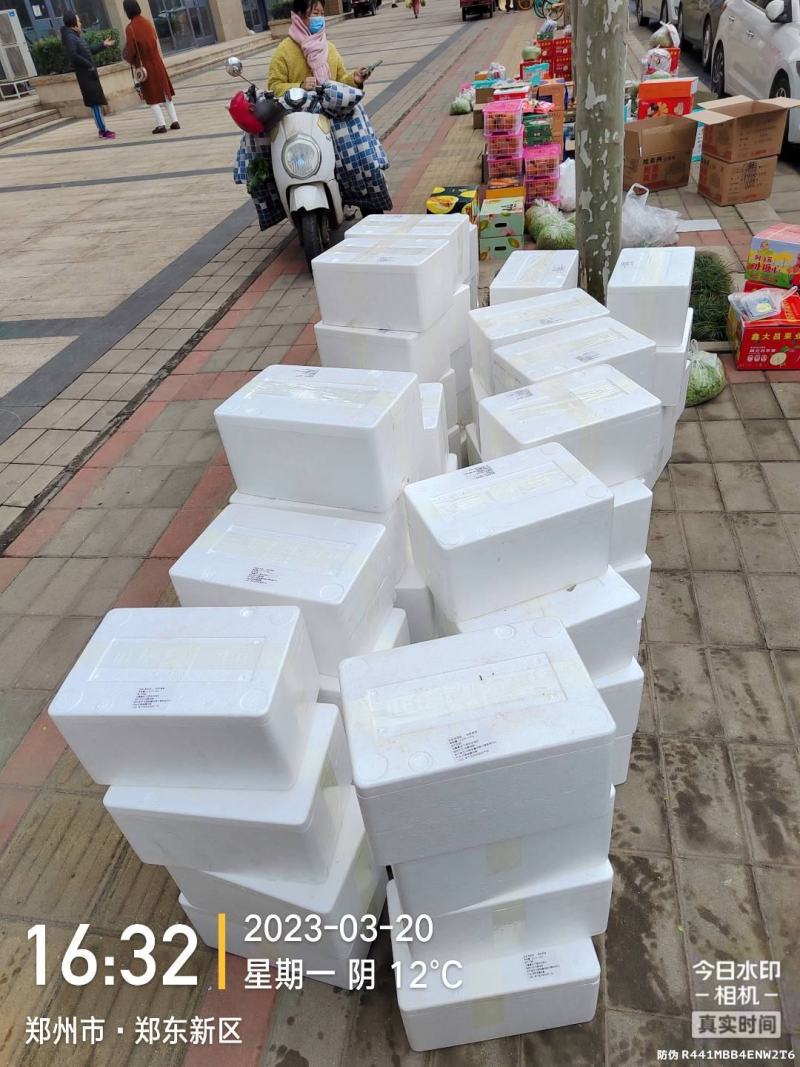 灵芝菇合作提供技术，包回收，欢迎大家咨询考察