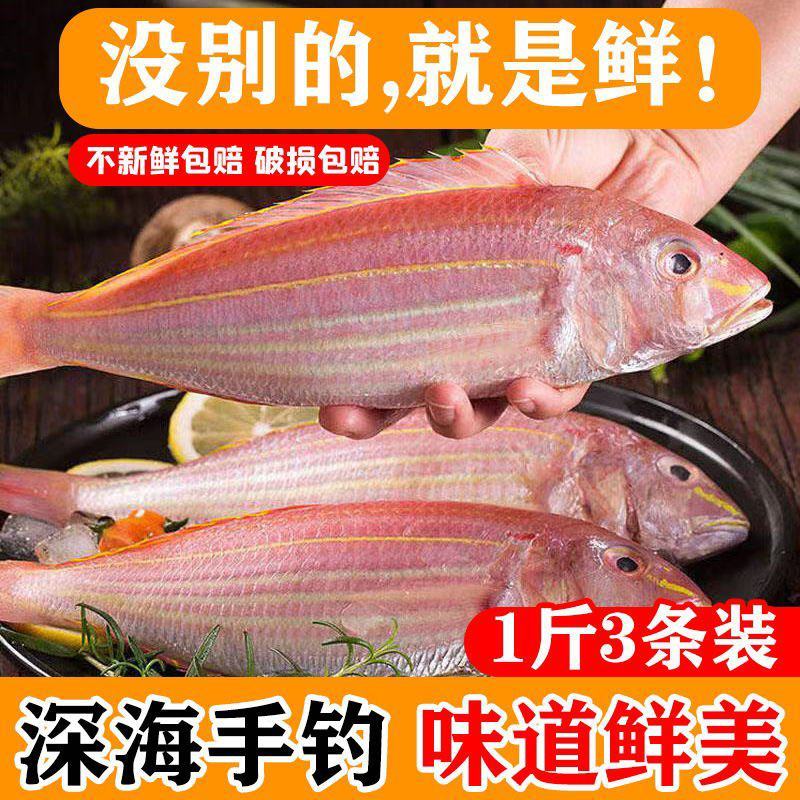 【湛江特产】红杉鱼新鲜去肚冷冻鲜活水产海钓海捕
