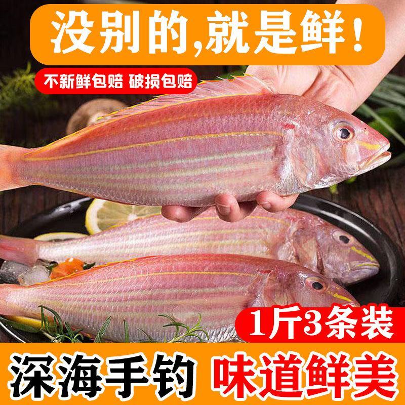 【湛江特产】红杉鱼新鲜去肚冷冻鲜活水产海钓海捕