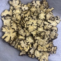 四川正宗野生川芎包邮川芎片四物汤原料薄片无硫熏染特级