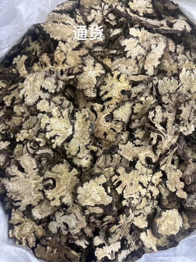 四川正宗野生川芎包邮川芎片四物汤原料薄片无硫熏染特级